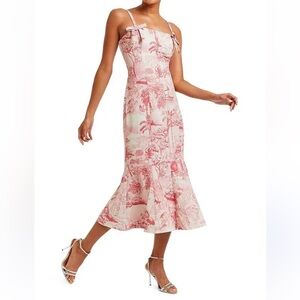 Mestiza New York Calista Midi Dress 10 Pink/Ivory Tropical Toile NWT
